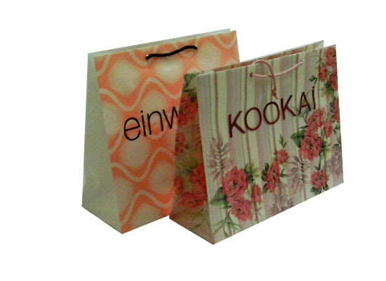 Rope handled carrier bags with cardboard insert